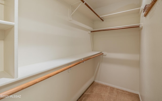 walk in closet with carpet floors