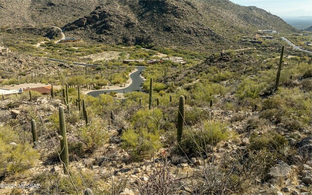 Listing photo 3 for 14760 N Soaring Dove Pl Unit 66, Marana AZ 85658