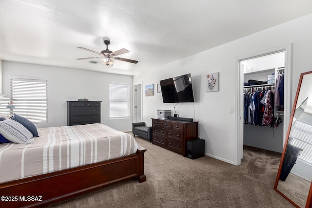 bedroom with multiple windows, a walk in closet, a closet, and dark colored carpet