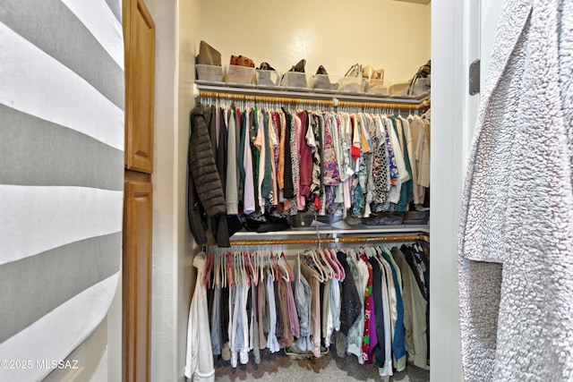view of closet