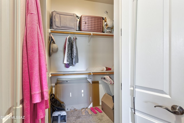 view of spacious closet