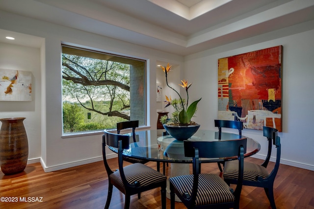 dining room with hardwood / wood-style floors and a tray ceiling