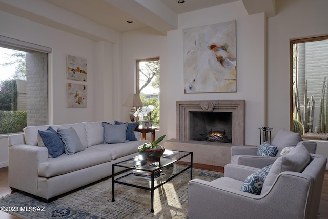 living room with wood-type flooring and a fireplace