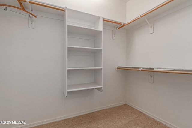 spacious closet featuring carpet