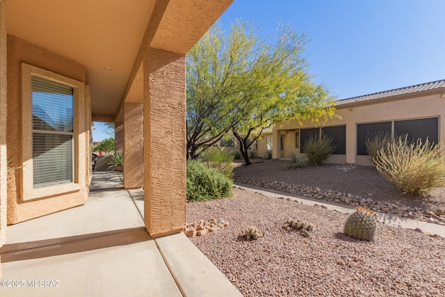 view of yard featuring a patio