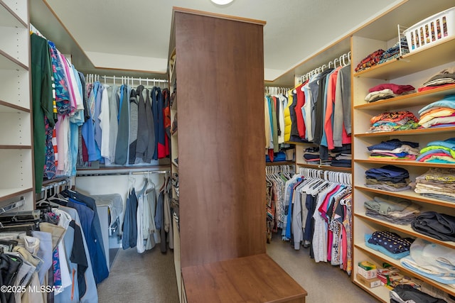 spacious closet with carpet flooring