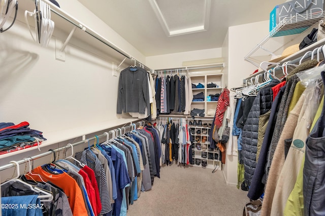 walk in closet featuring carpet flooring