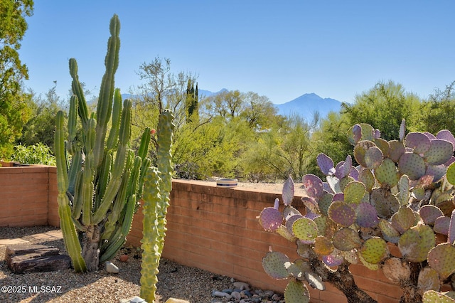 view of yard featuring a mountain view