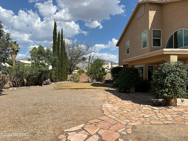 view of yard featuring a patio area