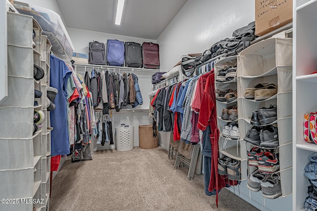 walk in closet with light carpet