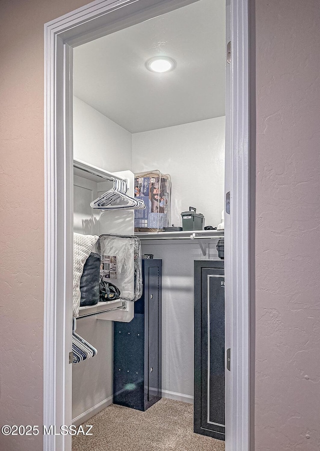 spacious closet with carpet