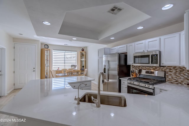 kitchen featuring tasteful backsplash, visible vents, a tray ceiling, stainless steel appliances, and a sink