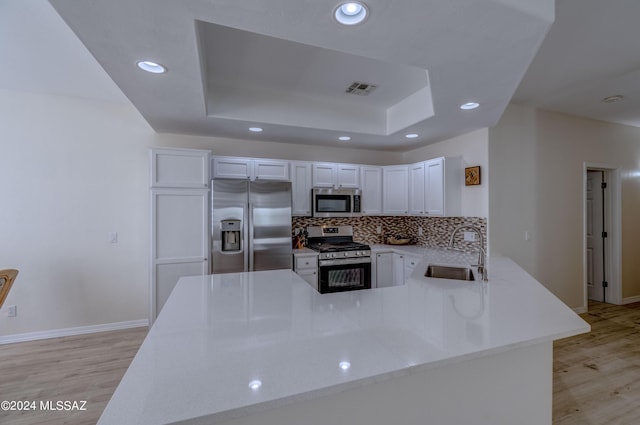 kitchen with visible vents, a sink, appliances with stainless steel finishes, a raised ceiling, and backsplash