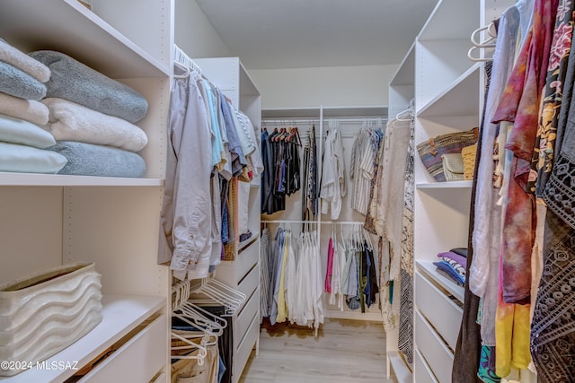 walk in closet featuring wood finished floors