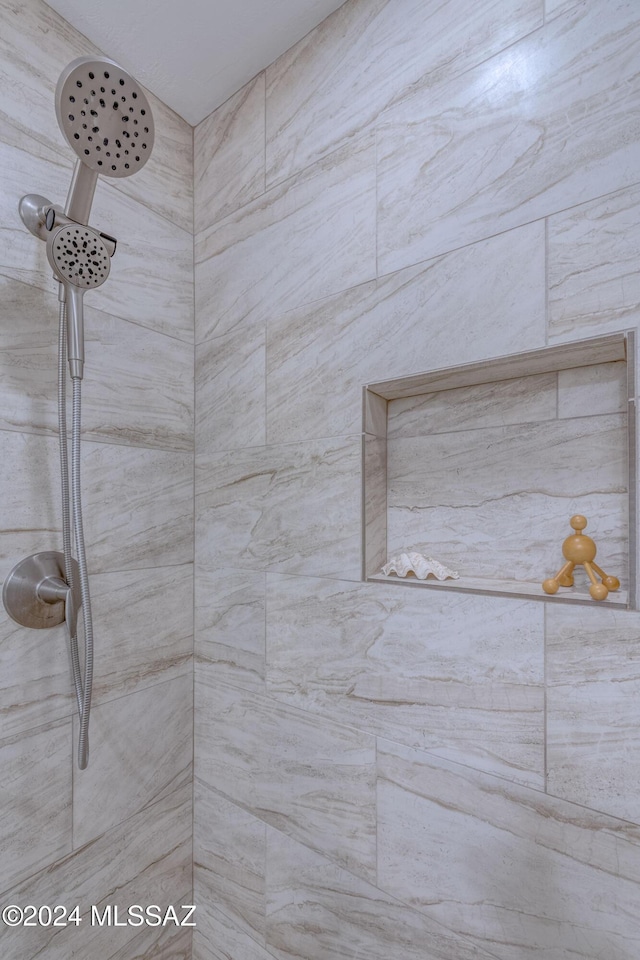 interior details with tiled shower