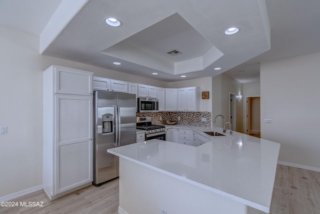 kitchen with visible vents, a sink, appliances with stainless steel finishes, decorative backsplash, and a raised ceiling