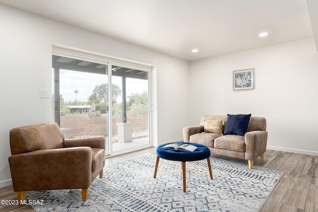 living room with wood-type flooring