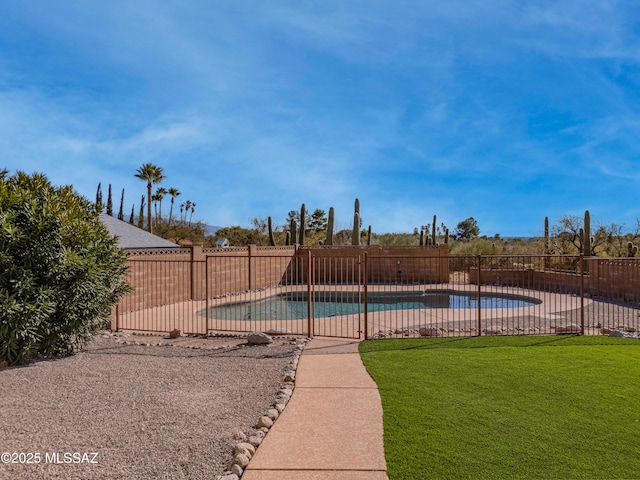 view of pool featuring a patio and a yard