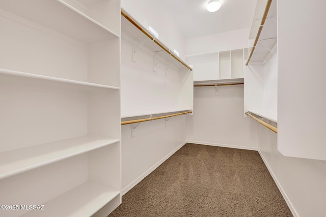 spacious closet with carpet floors