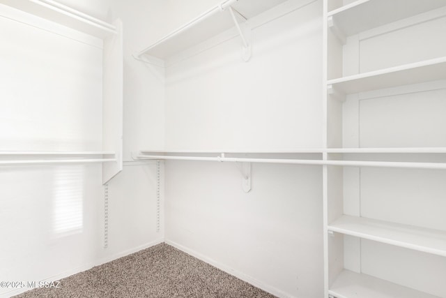 spacious closet featuring carpet flooring