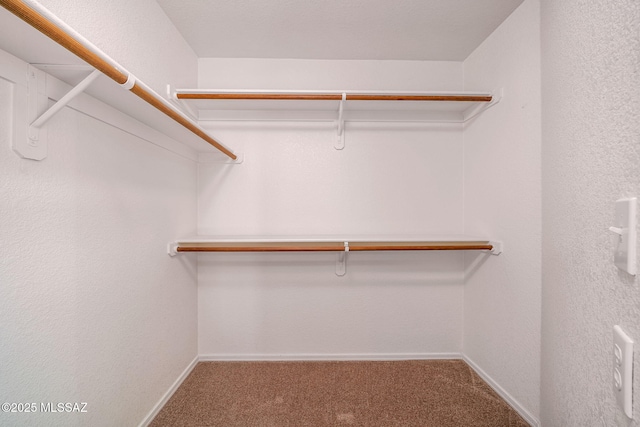 walk in closet with carpet flooring