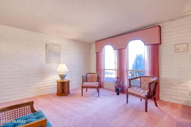 living area with brick wall, a textured ceiling, and carpet