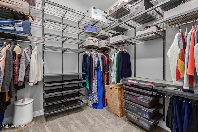 spacious closet with carpet flooring