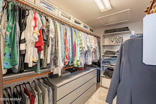 view of spacious closet