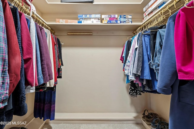 view of walk in closet