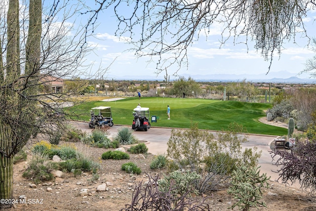 view of home's community with a yard