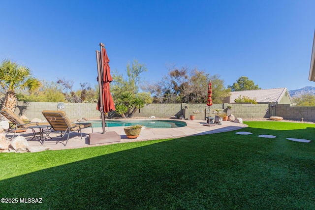 view of swimming pool with a patio area and a lawn