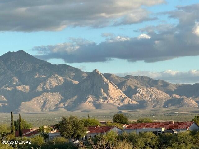 view of mountain feature