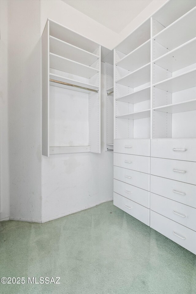 spacious closet featuring carpet