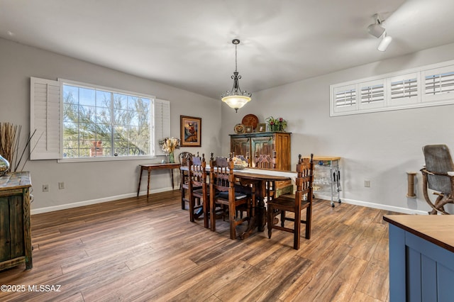 dining room featuring dark hardwood / wood-style flooring