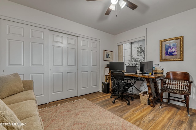 home office featuring ceiling fan and hardwood / wood-style flooring