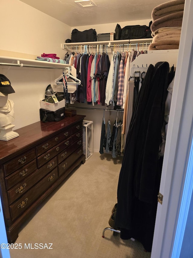 spacious closet with light colored carpet