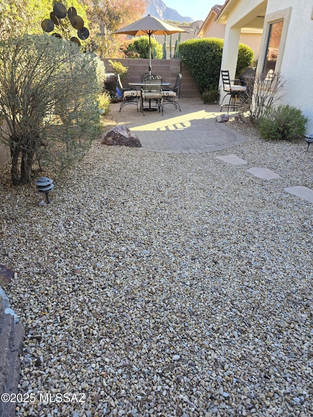 view of yard featuring a patio