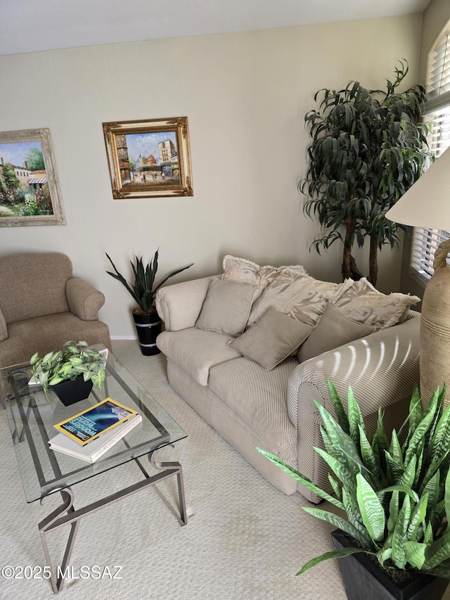 living room featuring carpet