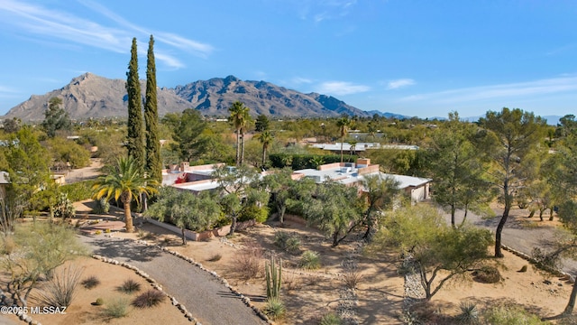 property view of mountains