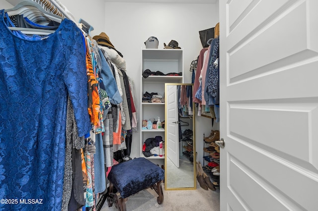 spacious closet featuring carpet floors