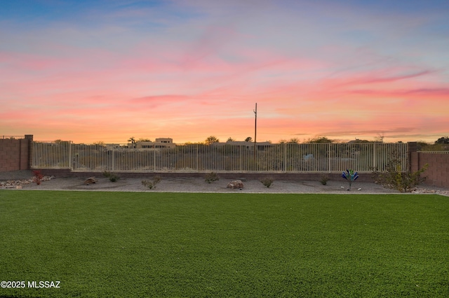 view of yard at dusk