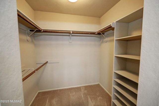 spacious closet with carpet