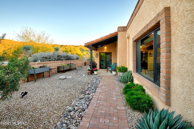 view of yard featuring a patio