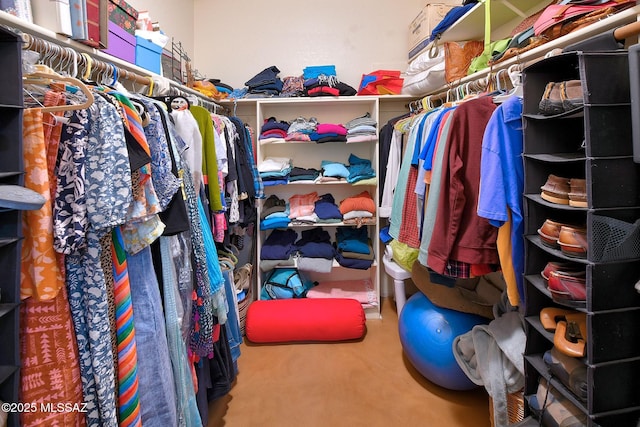 view of spacious closet