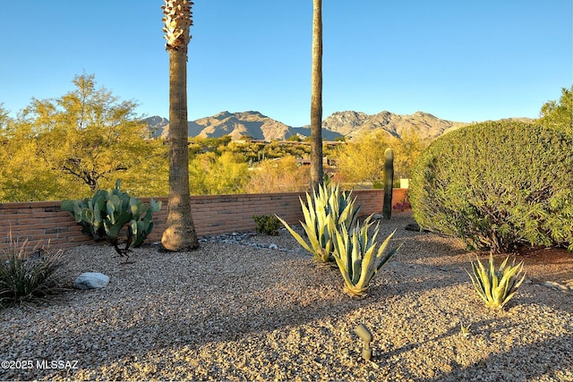 view of mountain feature