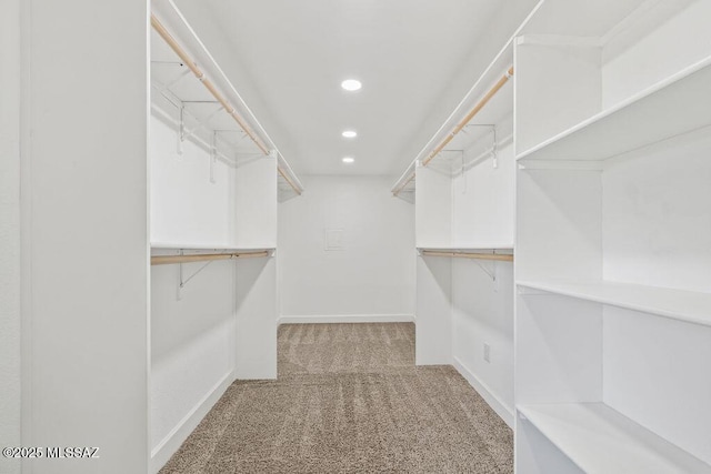 walk in closet with light carpet