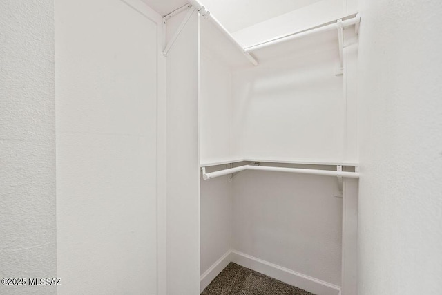 walk in closet featuring carpet flooring