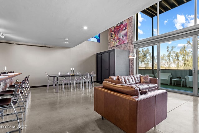 living room featuring a high ceiling