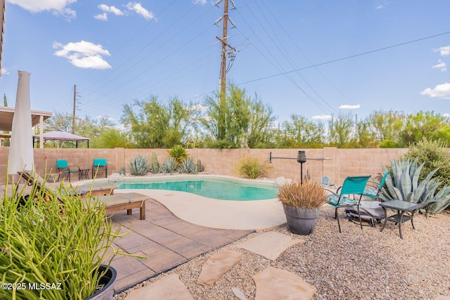 view of pool with a patio