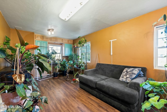 living room featuring dark hardwood / wood-style floors